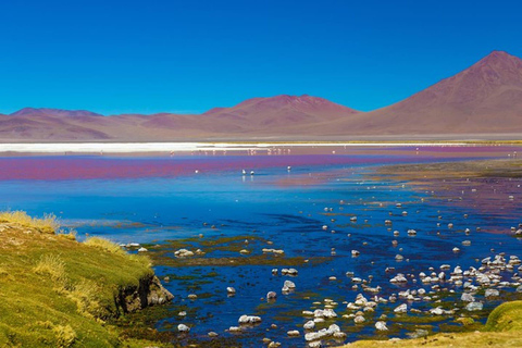 LAGUNA DE CEJAR, OJOS DE SAL Y LAGUNA DE TEBINQUINCHE