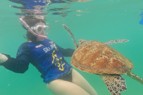 Mirissa: Ocean Magic Snorkeling with Turtles