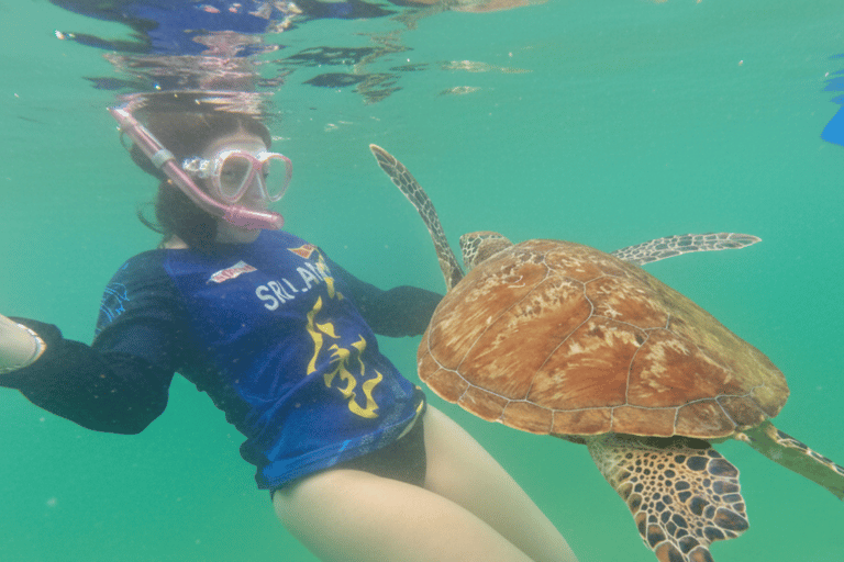 Mirissa: Ocean Magic Snorkeling with Turtles