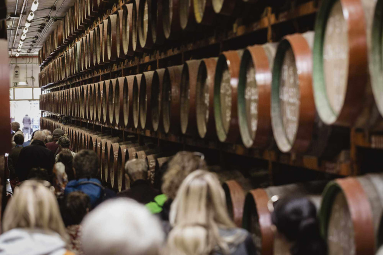 Gran Canaria: Shore Excursion with Rum Distillery Tour