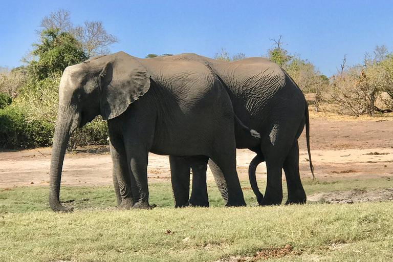 Livingstone Mosi-oa-Tunya 4x4 Rhino Tracking and Lunch