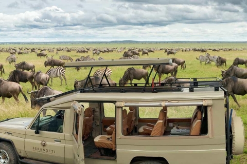 Safari de 2 días por el Lago Manyara y el Cráter del Ngorongoro en 4x42 Días - Safari por el Lago Manyara y el Cráter del Ngorongoro