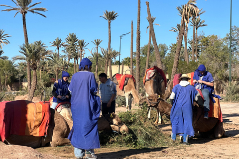 Camel Ride Adventure Through Marrakech’s Desert Villages