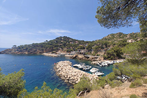 Från Marseille till Calanques Blueues med tåg, vandring, laguner och byar