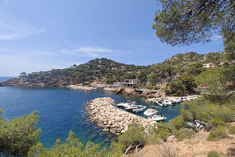 De Marsella a las Calanques Blueues en tren, senderismo, lagunas y pueblos