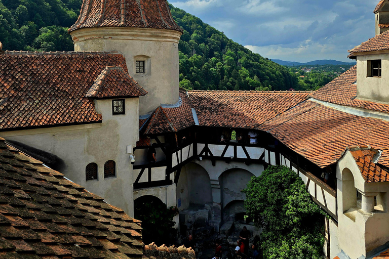 Dracula Castle, Peles Castle and Brasov Private Day TourDracula Castle, Peles Castle and Brasov City Private tour