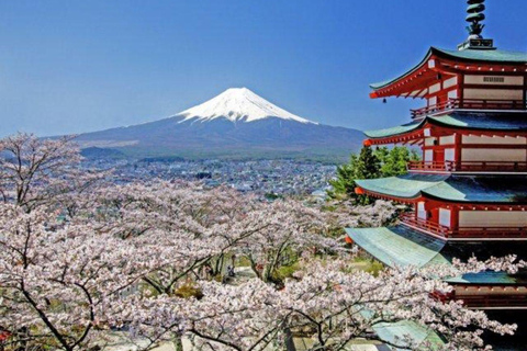 3/5/7 Days Private Japan Tour with English Speaking Guide 3 Days Private Tokyo or Kyoto Tour with English Guide