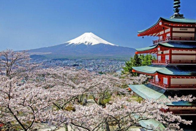 3/5/7 Days Private Japan Tour with English Speaking Guide 3 Days Private Tokyo or Kyoto Tour with English Guide
