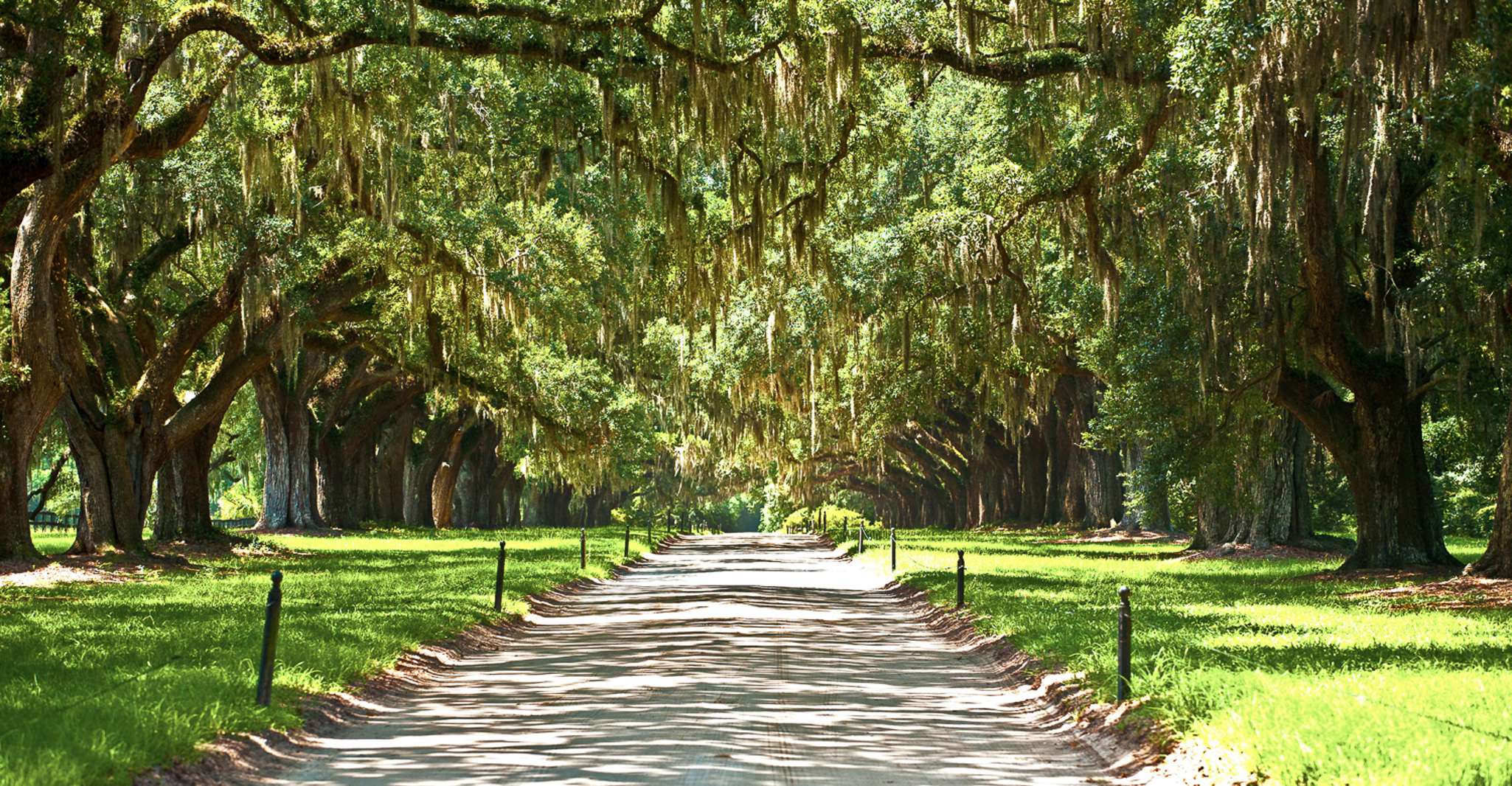 Louisiana, Laura, Oak Alley, or Whitney Plantation Tours - Housity