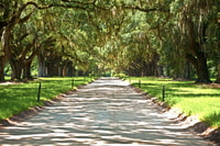 Louisiana, Laura, Oak Alley, or Whitney Plantation Tours - Housity