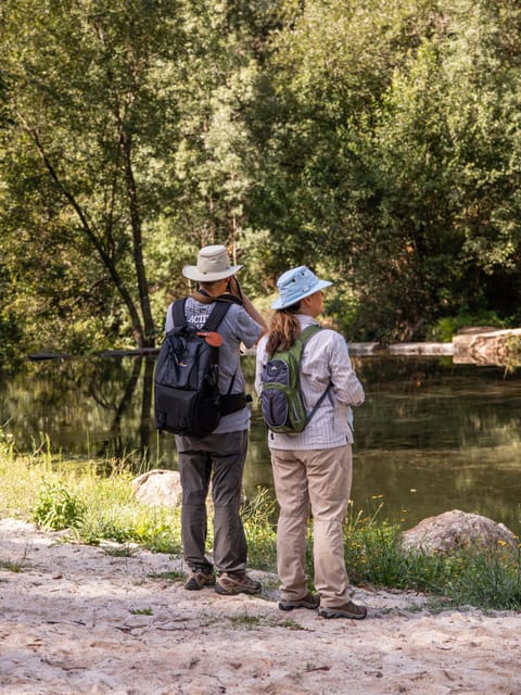 Ponte de Lima i tesori del più antico villaggio di PT GetYourGuide