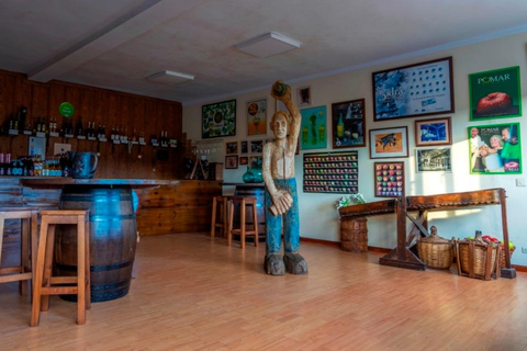 Vda. de Angelón Cider: guidat besök på en ciderpress med provsmakning