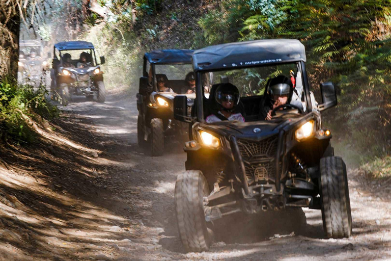 Batumi: Buggy, ATV & Horse Adventure with Hotel Transfers