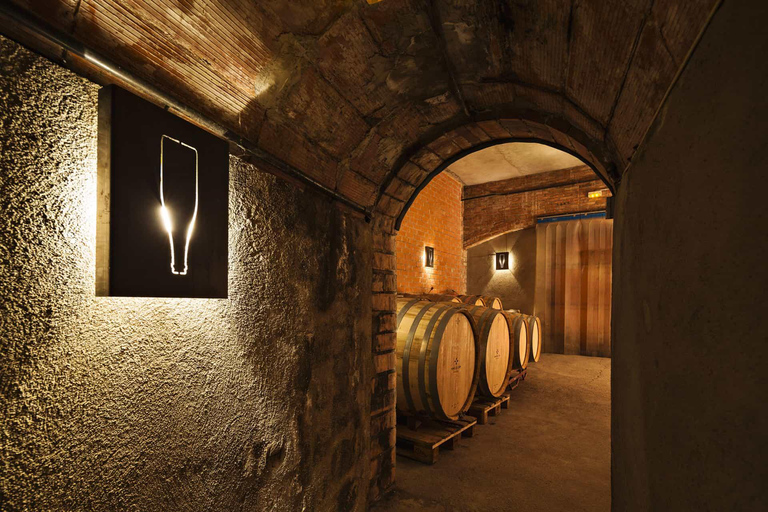 From Barcelona: 3 wineries with hotel pick-up and Lunch From Barcelona: Wine and Cava Tour with Tastings and Lunch