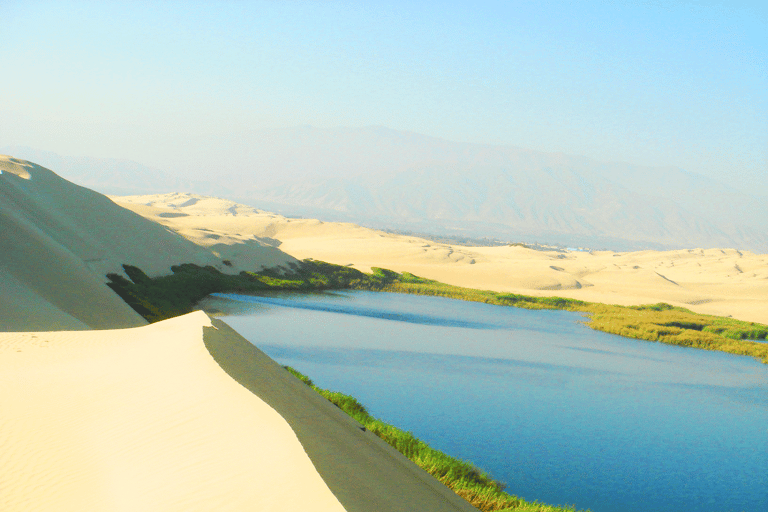 Paracas: Ballestas Islands, Morón Lagoon & Tambo Tour