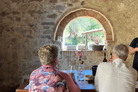 Florence: Chianti Villages, San Gimignano and Winery Tour Private Tour in Italian