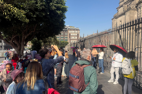 Mexico City's Historic Downtown: Walking Tour with a Professional Local Guide German