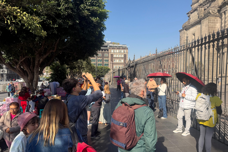 Mexico City's Historic Downtown: Walking Tour with a Professional Local Guide German