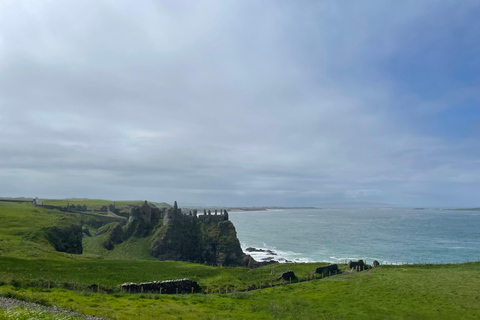 Belfast: Giant&#039;s Causeway en Game of Thrones Tour