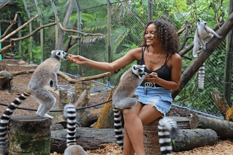 Mauritius: Southern Mauritius Private Tour with Tortoises