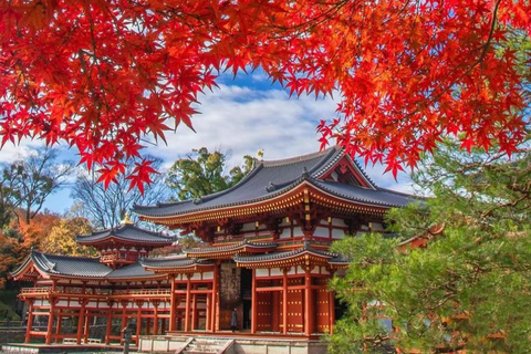 A Thousand Years in One Day: Kyoto & Nara Panoramic Tour Osaka Station
