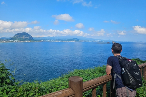 Excursión en Autobús por el Oeste de la Isla de Jeju con Almuerzo incluido Excursión de día completo