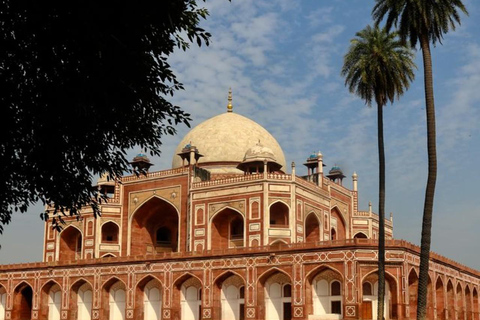 La experiencia completa de Delhi: tour de día completo en coche