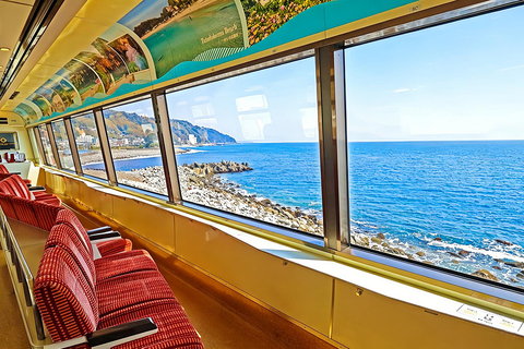 Small Group Day Tour:Omuro Mountain & the Izu Scenic Railway Hotel Transfer Option