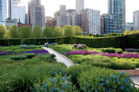 Chicago: Millennium Park Guided Walking Tour