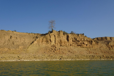 From Agra: Day Trip to Chambal River Safari with Lunch