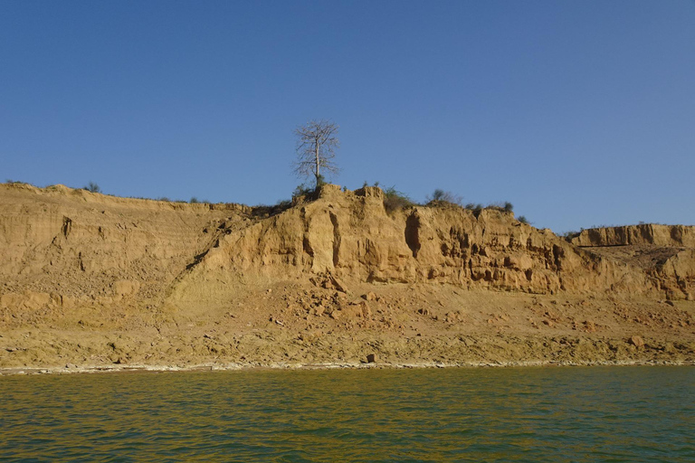 From Agra: Day Trip to Chambal River Safari with Lunch