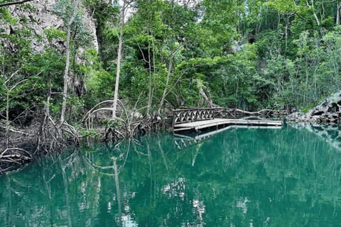 Dagtrip van Punta Cana naar Los HaitisesPrivétour