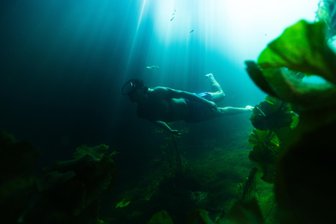 Cancún: Super Combo con quad, tirolinas, cenote y snorkelATV compartido