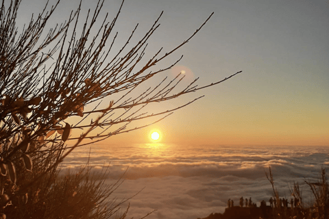 Funchal: Caminhada guiada ao nascer do sol e Escada para o Céu
