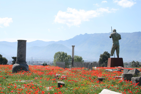 Tour from Naples : Vesuvius & Pompeii by Bus + Entry Tickets Tour from Naples to Pompeii & Vesuvius + Entry Tickets