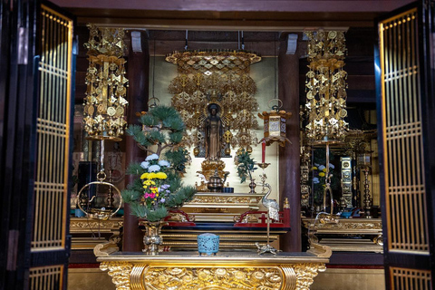 Kanazawa: Shirakawa-go privé-dagtour met lunch