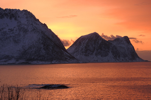 Tromsø: New Year’s Eve Cruise With Fireworks