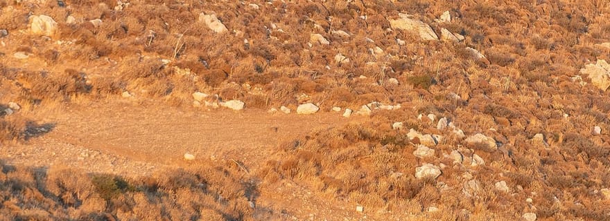Crète : randonnée équestre panoramique à Plakias