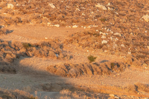 CHR - Crete Horse Riding: East Coastline Ride