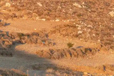 Kreta: Plakias Panorama Reitausflug