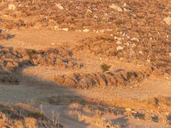 Creta: Escursione a cavallo nel panorama di Plakias
