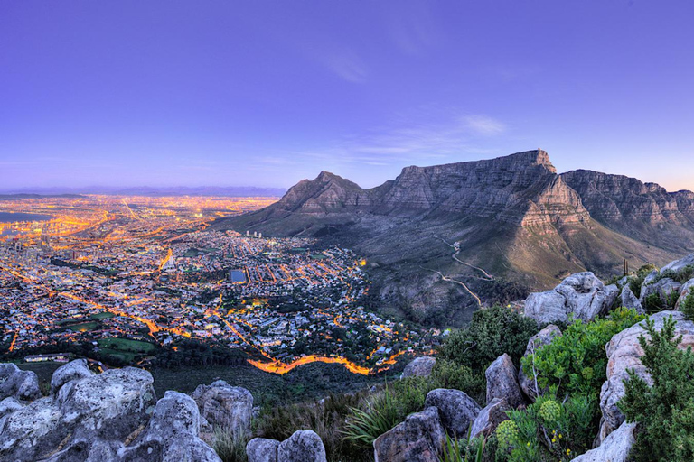 Le Cap : la montagne de la Table, les pingouins et Bo-Kaap Private ...