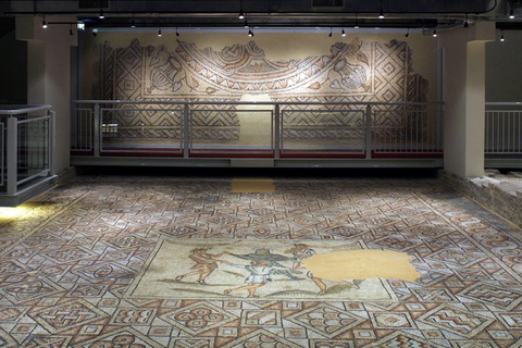 Domus Tappeti di Pietra Entry Ticket