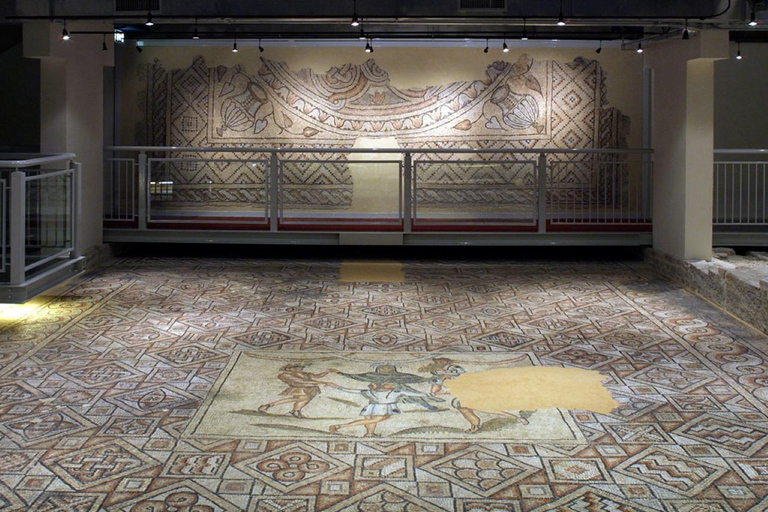 Domus Tappeti di Pietra Entry Ticket