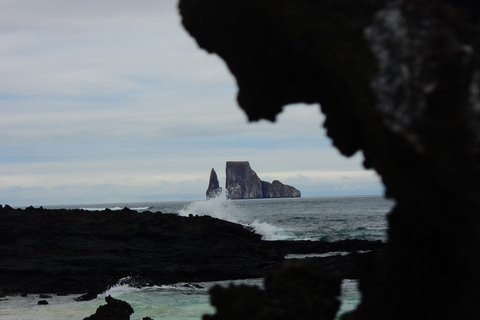 3-Day Galapagos Trip for Traveler Without Much Time