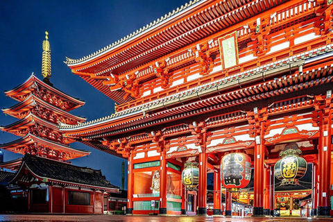 Tokyo Prestige: Luxury Chauffeur Tour with Private Guide 10 Hours Customized Tokyo Tour in Luxury Alford or Vellfire