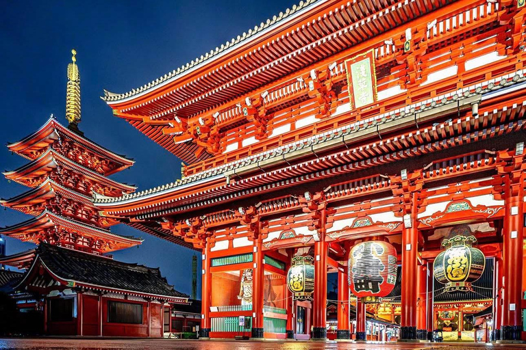 Tokyo Prestige: Luxury Chauffeur Tour with Private Guide 10 Hours Customized Tokyo Tour in Luxury Alford or Vellfire