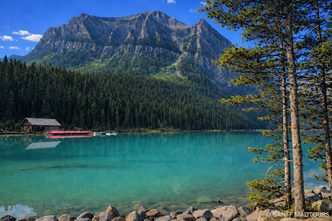 Banff: Moraine Lake Sunrise View & Lake Louise Tour Calgary Pickup