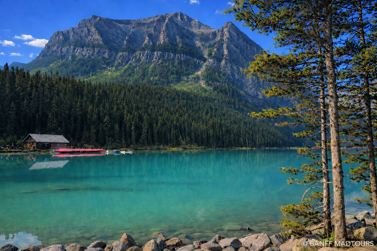 Banff: Moraine Lake Sunrise View & Lake Louise Tour Calgary Pickup