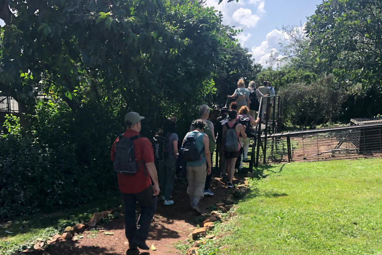 Kampala/Entebbe: Ngamba Island Chimps Sanctuary Tour